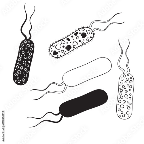 Illustration of various bacteria cells with flagella in black and white