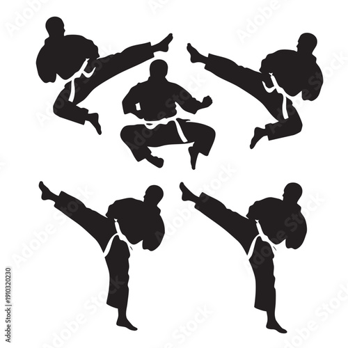 Karate fighters silhouettes in various positions showcasing martial arts techniques