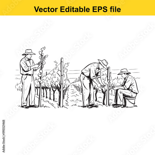  three gardeners tending to plants in a vineyard scene