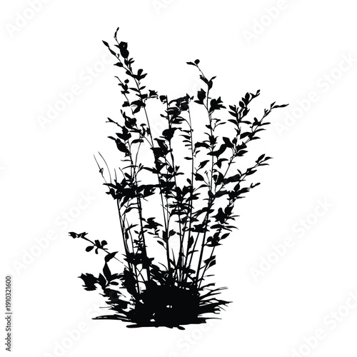 Black silhouette of bush with branches and leaves