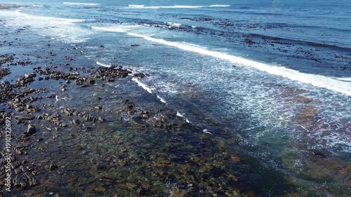 Birds in Flight Seagulls Flying in a circle view from above over small waves breaking on rocks by the sea 4K Aerial Video.