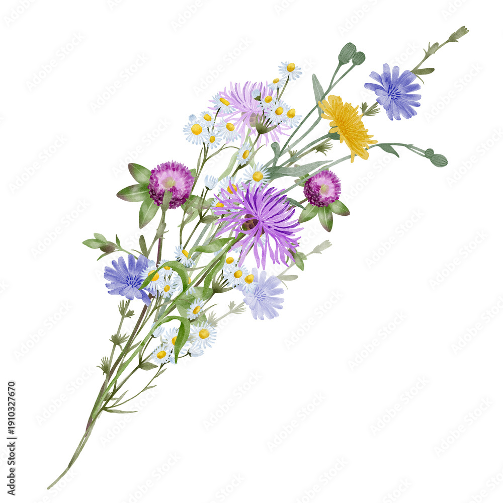 Fototapeta premium Wildflower branch watercolor illustration with floral composition For greeting card, banner, invitation, Women Day, Mother Day, anniversary, memorial ceremony and international day design