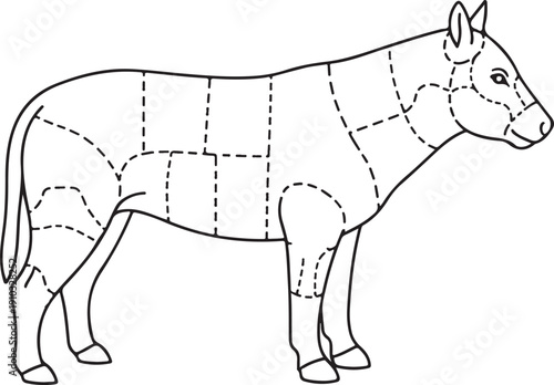 Diagram of beef cuts and meat portions for veterinary anatomy study, with labels. , Generative Ai