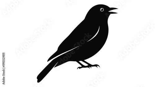 Black bird with open beak perched on a branch in silhouette isolated on white background, Vector