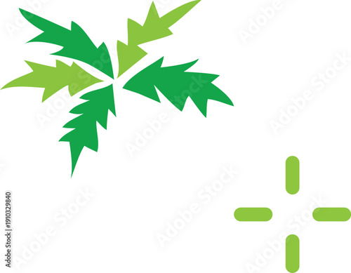 Summer palm leaf vector green plant, exotic nature set isolated on white background. Jungle illustration