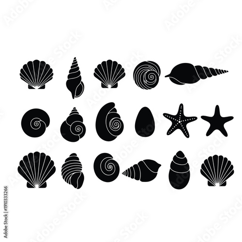 Black silhouettes of various seashells and starfish on a white background