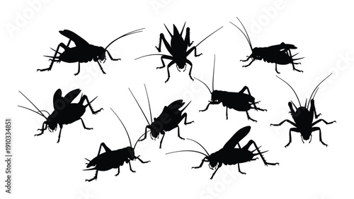 A diverse collection of various insects and bugs in black and white isolated on white background, Vector