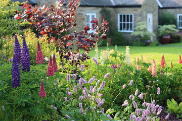 Fototapete Pflegezentrum Countryside cottage garden with a bed of colourful flowers  © Francesca Leslie
