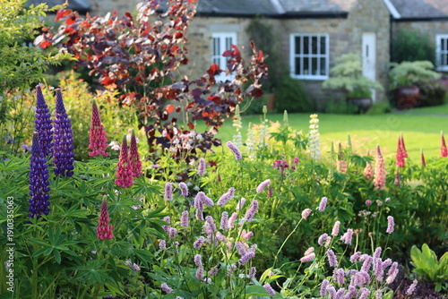 Photos Countryside cottage garden with a bed of colourful flowers