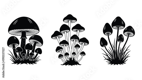 A variety of mushrooms and plants growing in a natural forest setting isolated on white background, Vector