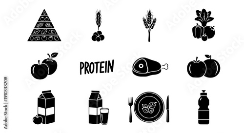 Protein Food Icon Set Featuring Meat Grains Vegetables Fruit and Dietary Pyramid Wellness Symbols