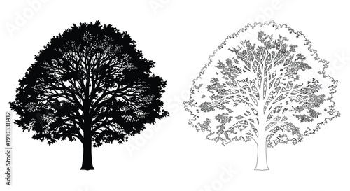 Two trees depicted in stark black and white showcasing different rendering styles