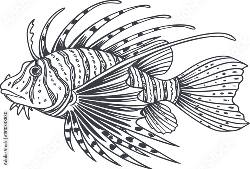 Fish set vector Ocean Creatures Set, Sea Animals Illustration