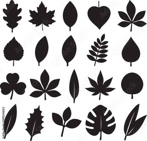 Leaf Silhouettes in Black: A graphic ensemble showcasing various leaf silhouettes, an artistic depiction of different leaf types. Evoking a sense of botany.