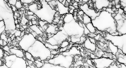 tree bark background