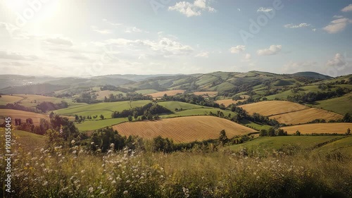 Rural Landscape with Rolling Hills and Fields.