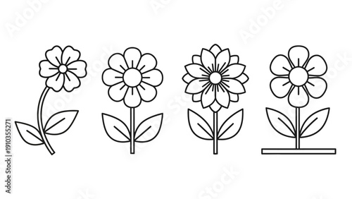 Illustration of flowers in various stages of growth viewed from the front