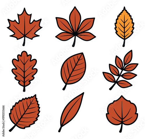 Hand drawn autumn leaves set featuring diverse shapes and fall colors for seasonal design