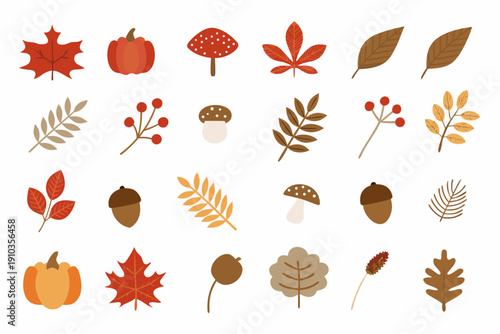 Autumnal collection of leaves pumpkins acorns and mushrooms in warm tones