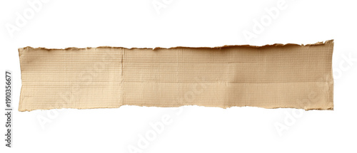 Torn cardboard strip with brown paper and ripped edge, showcasing corrugated texture, isolated on white for versatile design.