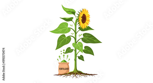 Sunflower plant growing with fertilizer bag green leaves and roots symbolizing growth and nourishment