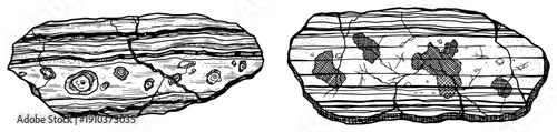 Two weathered stone slabs with cracks and fossil patterns in vintage engraving style