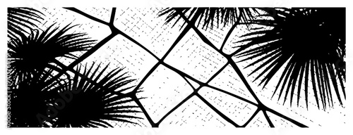 Hand drawn engraving style illustration of palm tree leaves over a cracked stone pavement texture