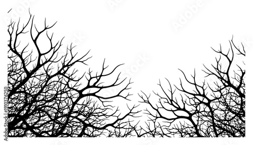 Dense bare tree branches silhouette in detailed ink sketch style