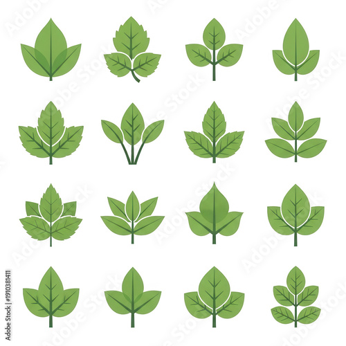 Collection of green leaves vector icons for ecology and nature designs