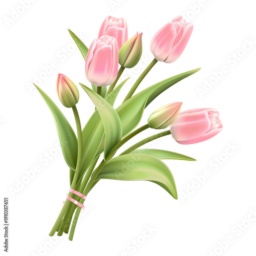 Colorful collection of realistic flowers. Pink Tulips isolated on a white background. Spring bouquet for holidays.
