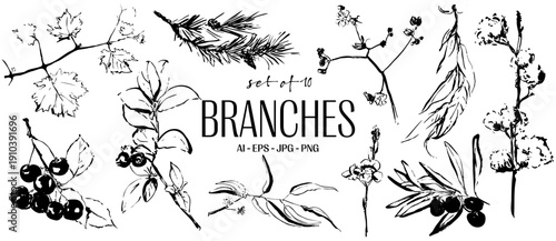 Hand Drawn Branches Stems Line Art - Botanical Foliage Vector Illustration Set