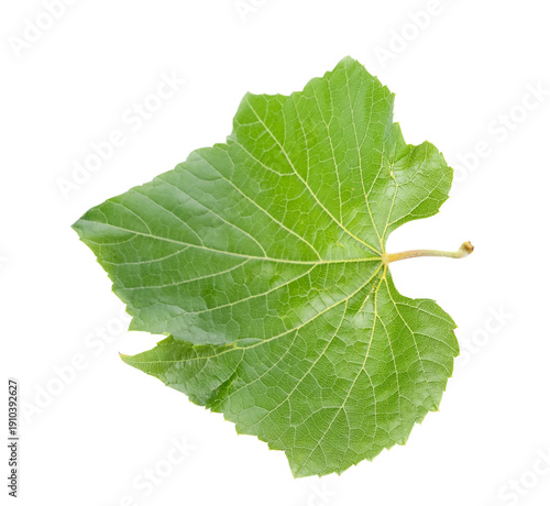 Green grape leaf isolated o...