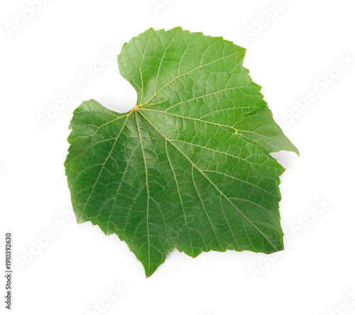 Green grape leaf isolated o...