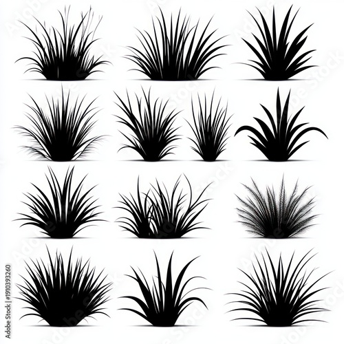 Sixteen black grass clump silhouettes arranged in a four-by-four grid on white background, varied spiky blades and tufts, calm minimalist high-contrast botanical study