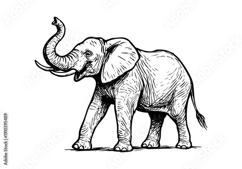 African Elephant hand drawn simple sketch vector illustration