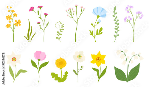 Beautiful set of spring flowers with  daffodil, dandelloin, lily of the valley, tulip and daisy. Botanical wildflowers  flat vector illustration.