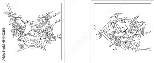 Vector sketch illustration silhouette design decoration painting accessories bird in the nest in the wild feeding its young