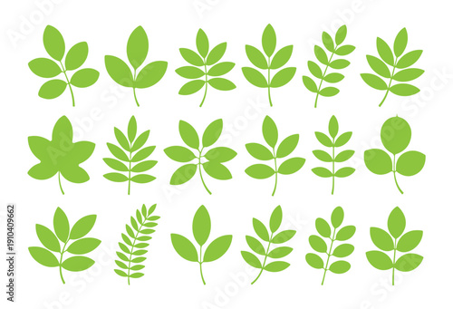 Light green compound leaf icons for environment conservation and botanical identification chart materials