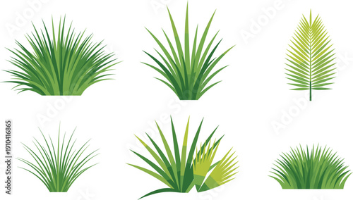 Collection of green tropical grass and palm leaves vector illustration set with decorative botanical plants isolated on background