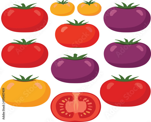 Colorful heirloom tomato varieties vector set with whole and sliced fresh vegetables isolated food illustration