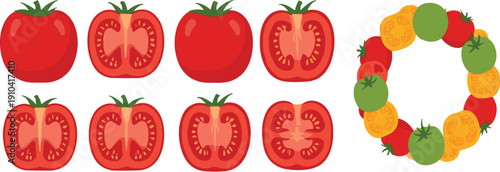 Fresh tomato slices and whole vegetables vector set with colorful circular arrangement isolated food illustration