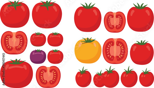 Fresh colorful tomato varieties vector set with whole and sliced vegetables isolated food illustration collection