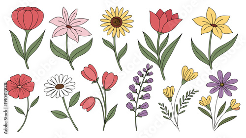 Flower botanical illustration vector spring bloom wildflower set, colorful hand drawn doodle collection of garden floral element isolated on white background, cheerful