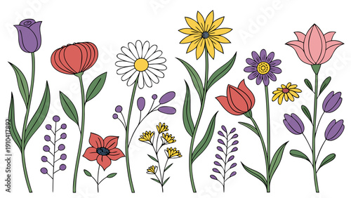 Flower botanical floral illustration vector spring colorful bouquet with hand drawn wildflower and leaf collection, isolated white background for greeting card, nursery art, seamless pattern design