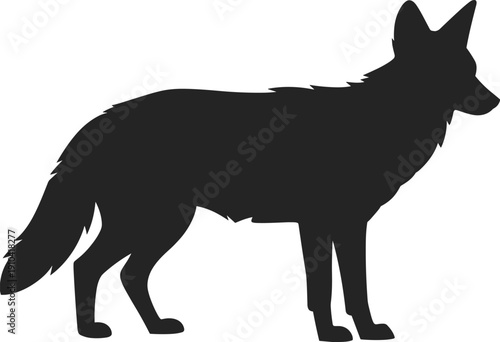 Coyote silhouette isolated on white background, black wild animal profile for nature design, predatory mammal icon, prairie wolf vector illustration for logos and outdoors graphics.