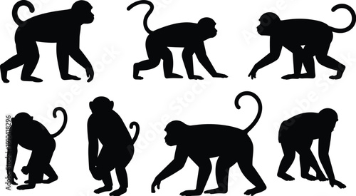 Black monkey silhouettes set featuring various primate species like chimpanzee and macaque in active poses including walking and sitting isolated on a clean white background