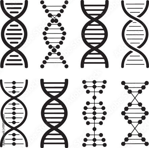 dna strand on white background