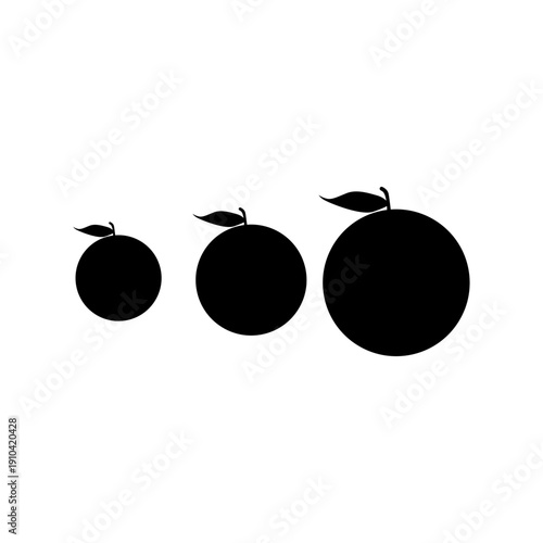  ORANGE FRUITS COMPARISON SIZE VECTOR ICON