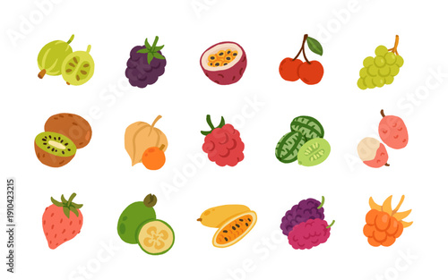 Exotic, tropical, rare and Common Fruits Collection. Flat cartoon Vector Set of fruits on white isolated background.