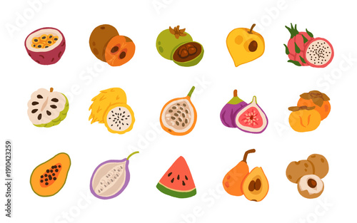 Exotic, tropical, rare and Common Fruits Collection. Flat cartoon Vector Set of fruits on white isolated background.